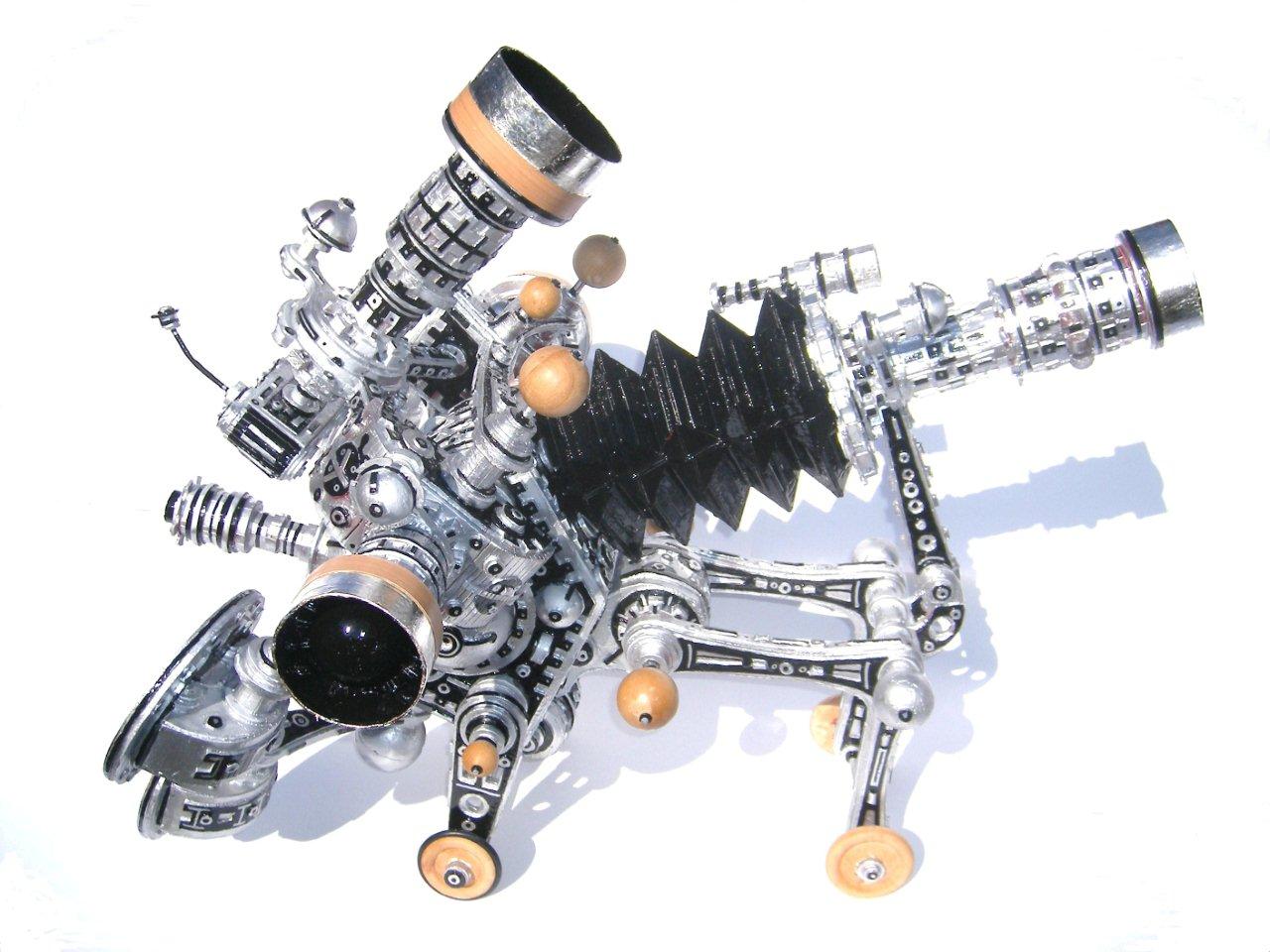 Multiple Fish-Eye camera