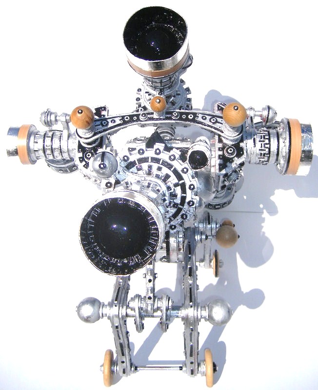 Multiple Fish-Eye Camera